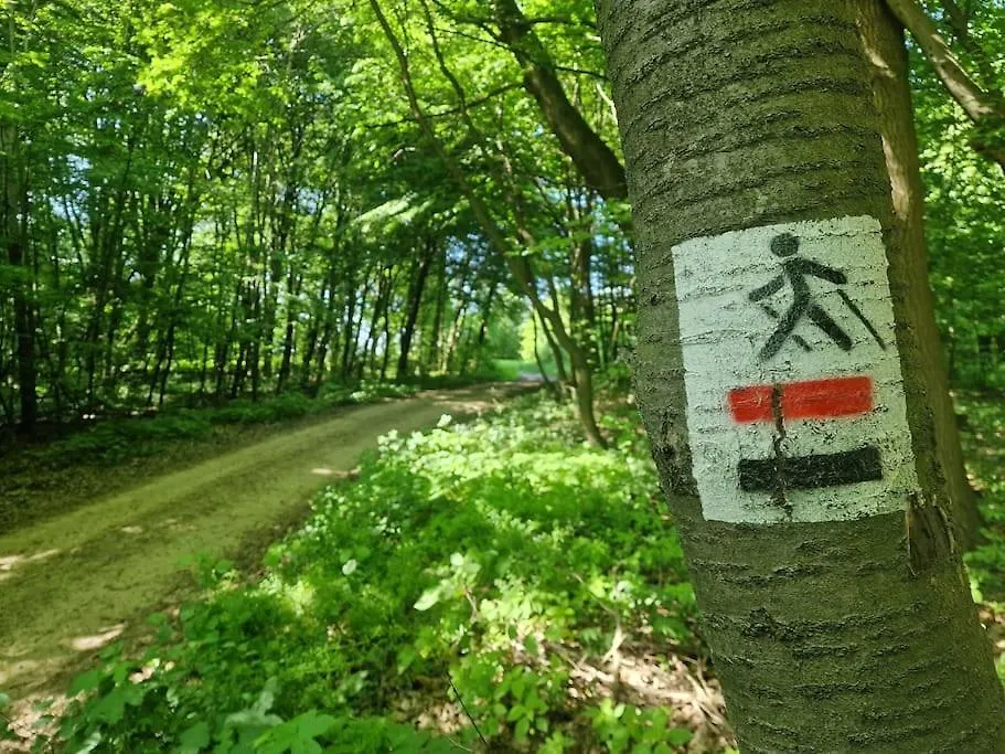 Agroturystyka Nad Bystra - Drewniany dom z pięknym ogrodem-1