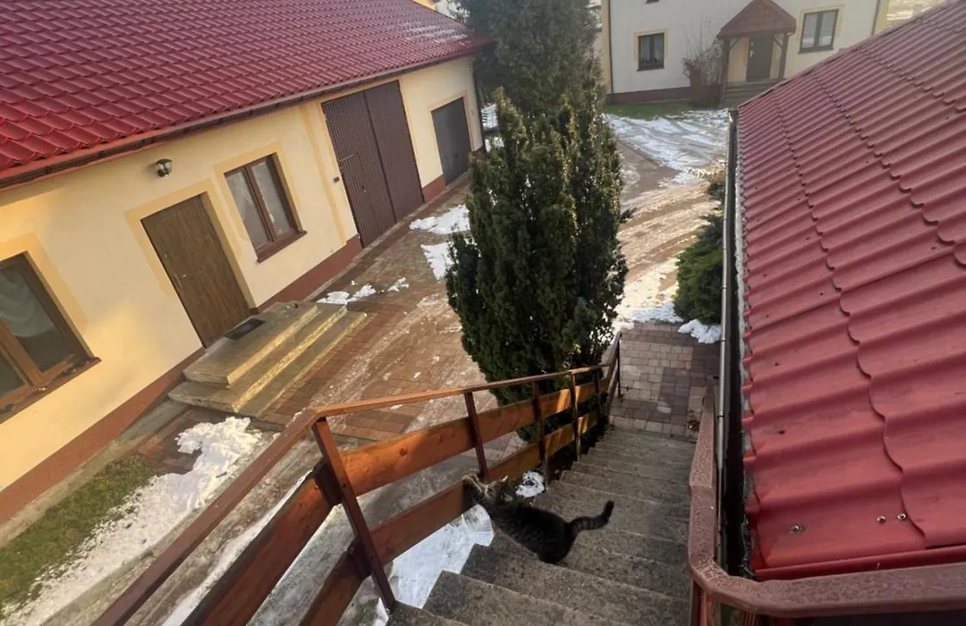 Gospodarstwo Agroturystyczne Bór-1