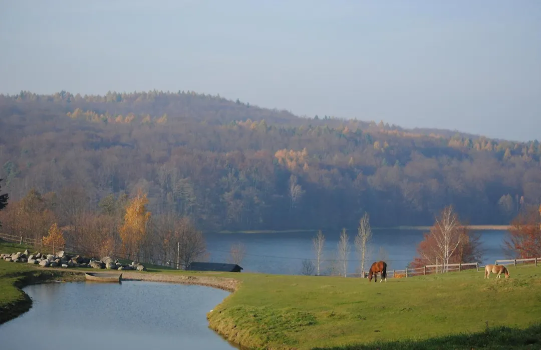 Pensjonat Kupperówka- Stadnina Koni Kolano-1