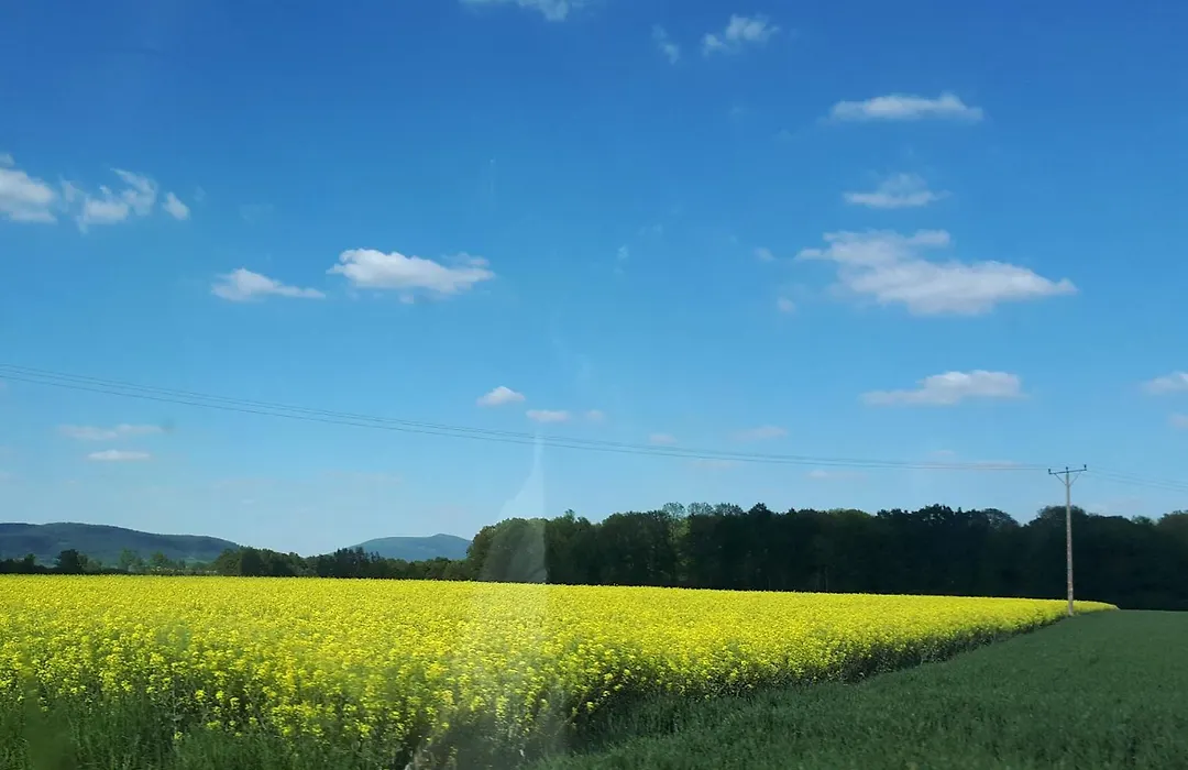 Agroturystyka JAGAP OAZA SPOKOJU-1