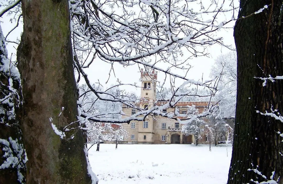Pałac Dąbrowica-1
