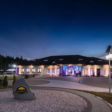 Gościniec Pod Lasem-2