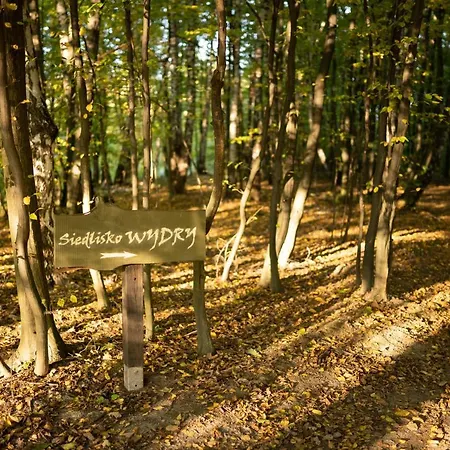 Agroturystyka Siedlisko Wydry - dom w środku lasu-2
