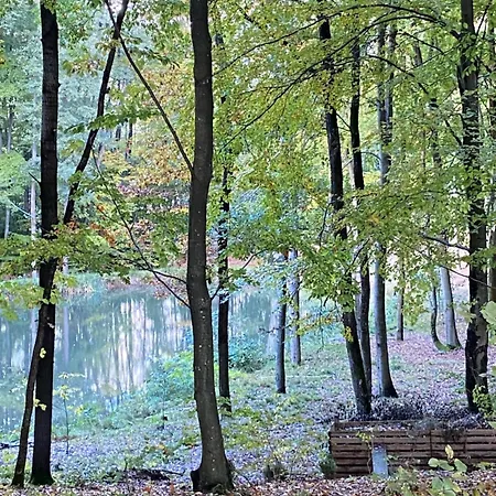 Gospodarstwo Agroturystyczne LOBELIA-2
