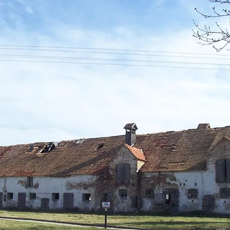 Agroturystyka Maya-2