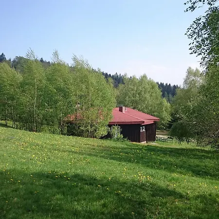 Szałas Muflon - Mufflonhütte-3