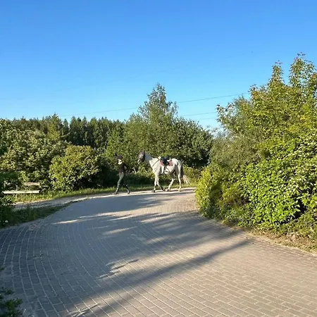 Sakowcówka - Agroturystyka , stajnia-3