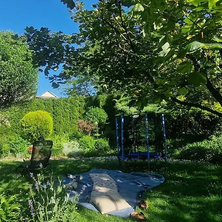 Agroturystyka Nad Bystra - Drewniany dom z pięknym ogrodem-2
