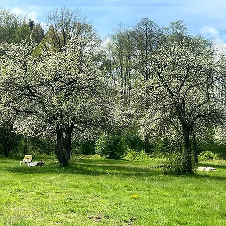 Agroturystyka Stajnia Dorado Pokoje Gościnne i Apartamenty-2