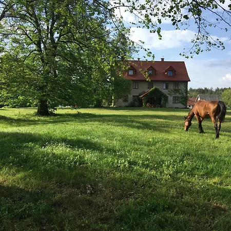 Polanka Agroturystyka i Konie-3