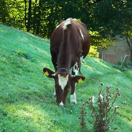 U TKOCZA Agroturystyka-2