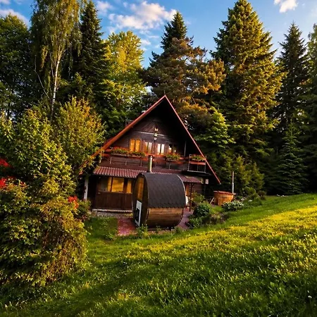 Chata pod lasem z balią i sauną-2