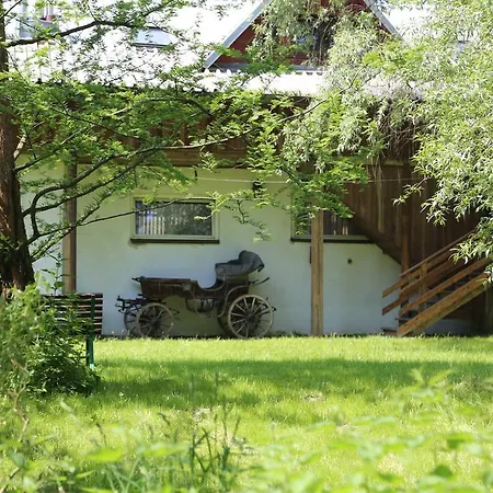 Gospodarstwo Agroturystyczne Stary Młyn Wilczkowice-3