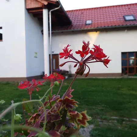 Agroturystyka Struzka-3