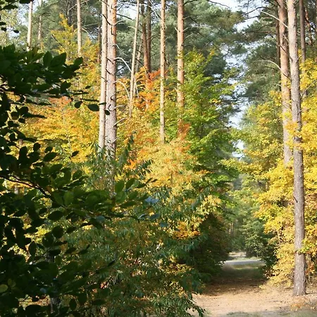 Agroturystyka Zatom Stary-2