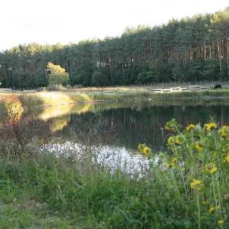 Quatro Osrodek Jezdziecki - Gospodarstwo Agroturystyczne-3