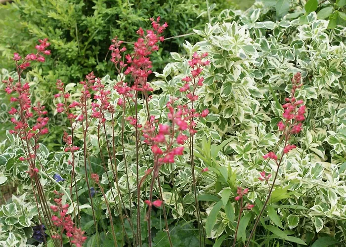 AgroturystykaU Aleksa