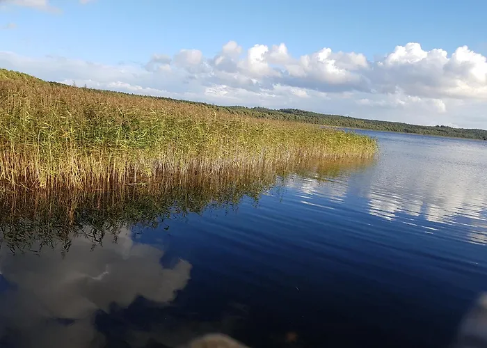 Agroturystyka „U Rzezbiarza” Sławno