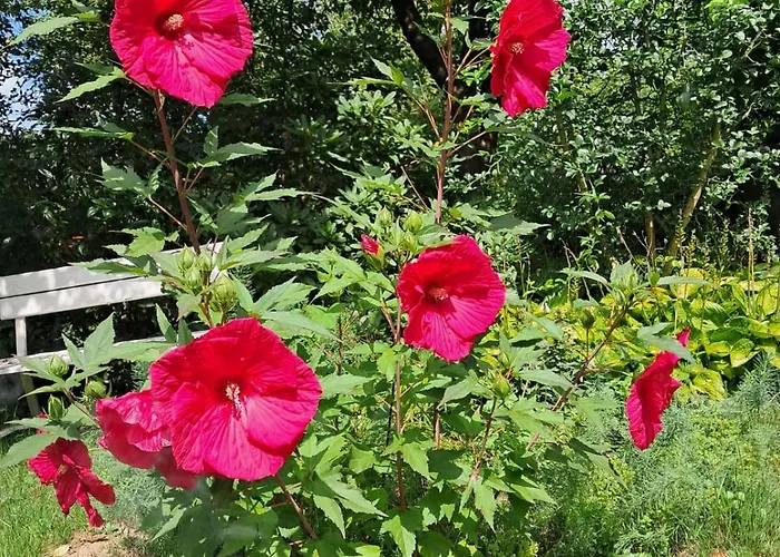 Agroturystyka Nad Bobrem Pilchowice